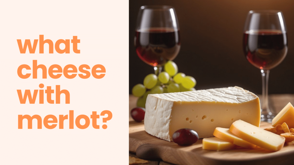 What Cheese Goes With Merlot? Pairing Tips For A Perfect Match ...