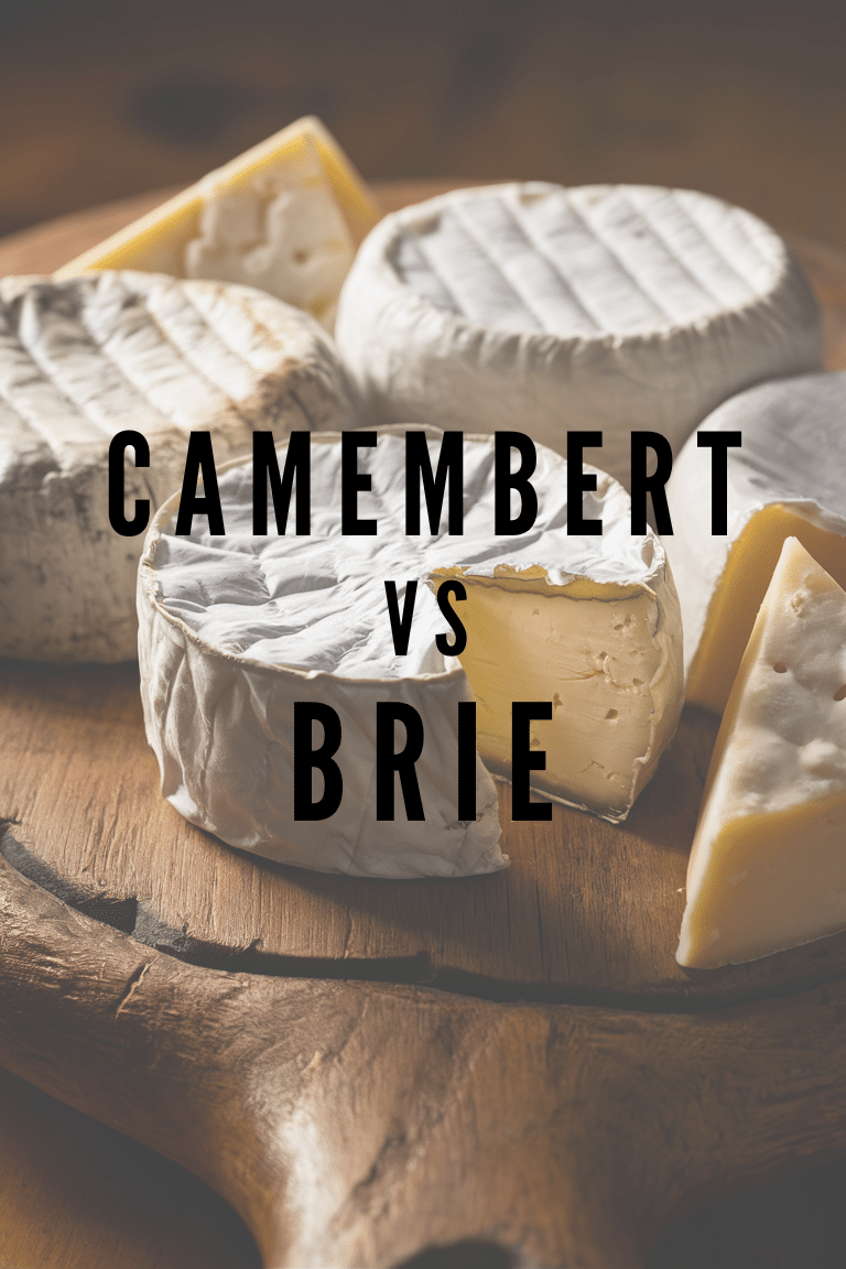 Camembert vs Brie Cover Photo