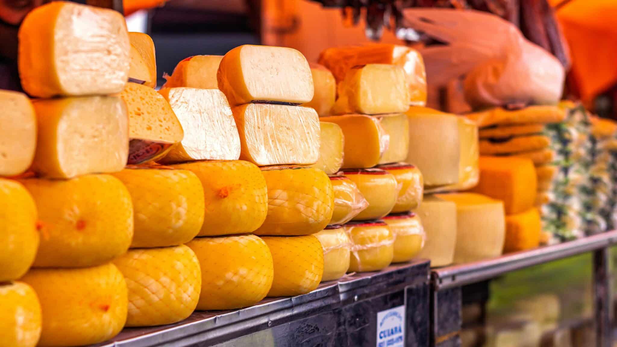 Cheese Counter Photo