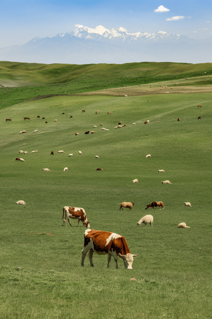 A pastoral scene with cows and sheep grazing on a vast green field, with snow-capped mountains in the distance.