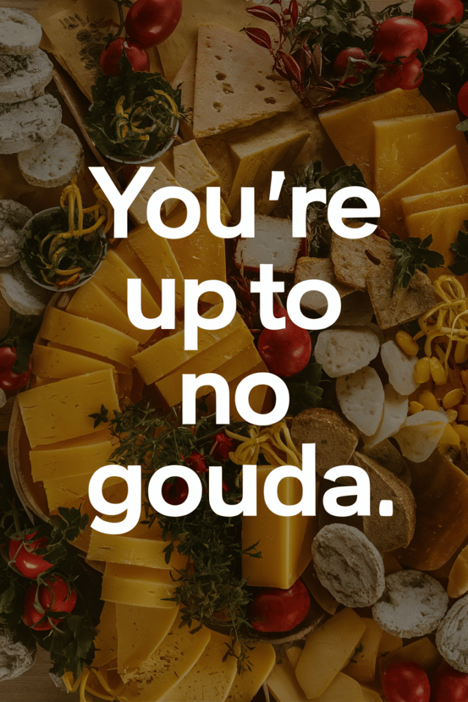 You're Up to No Gouda Cheese Quote