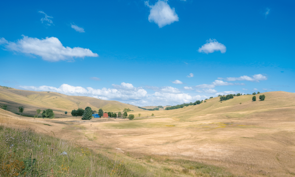 Vast open landscape in California featuring rolling golden hills and a clear blue sky with scattered clouds, with a small cluster of buildings nestled among trees in the distance.