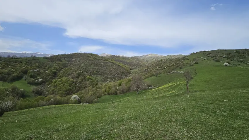 Armenia