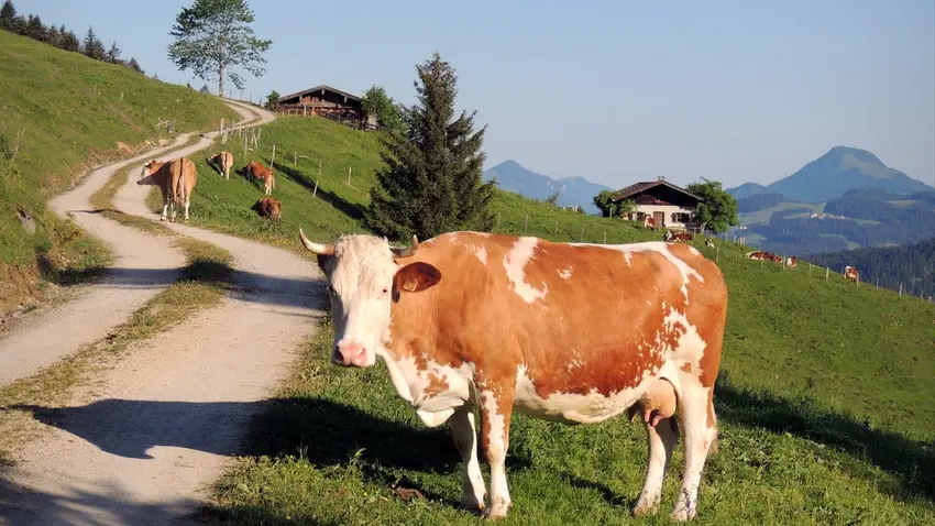 Austria