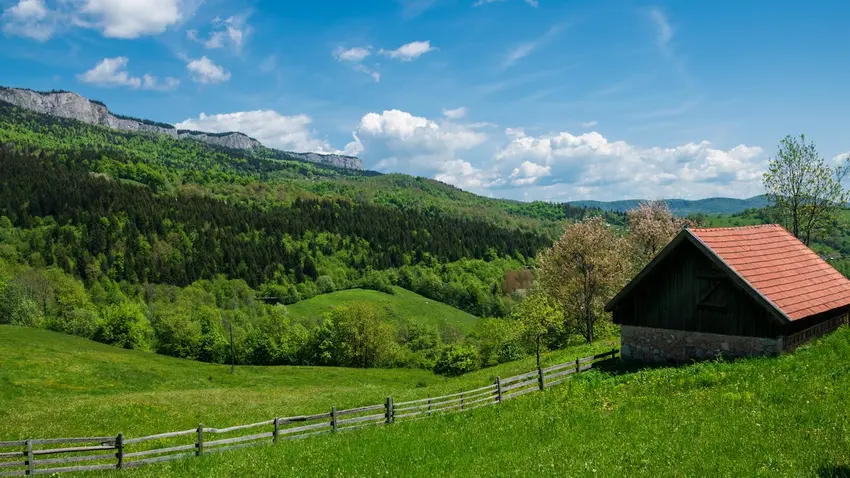 Bosnia and Herzegovina