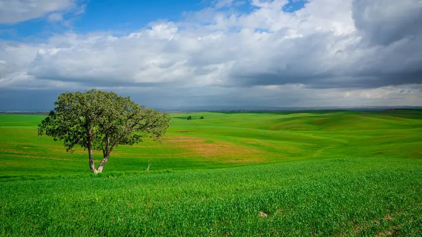 Israel