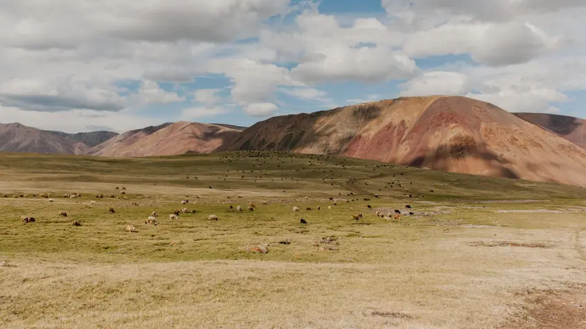 Mongolia
