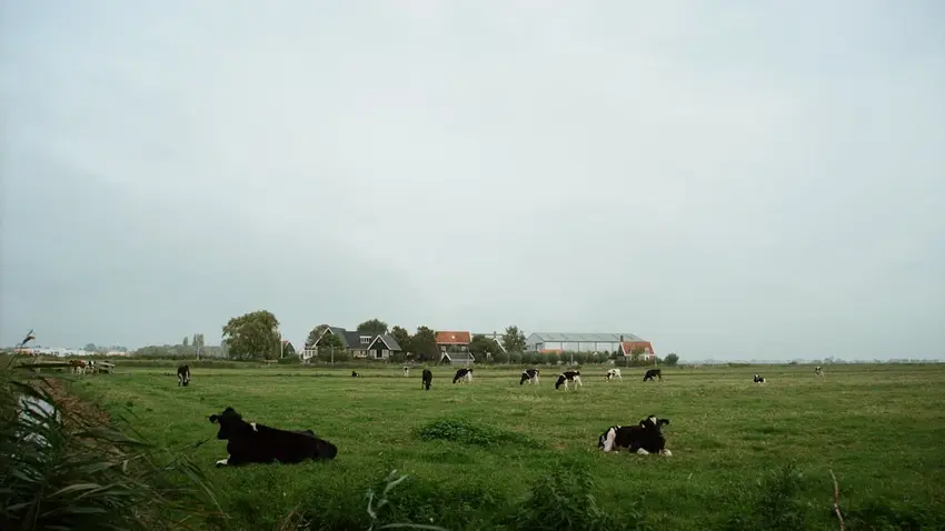 Netherlands