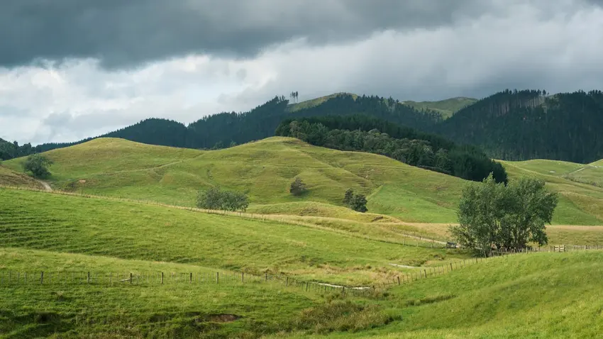 New Zealand