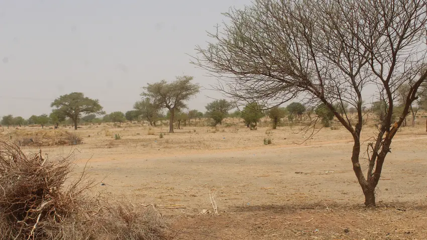Niger