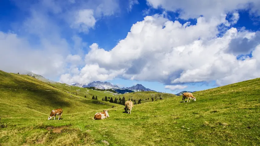 Switzerland
