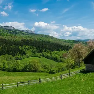 Bosnia and Herzegovina