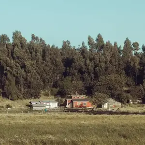 Chile