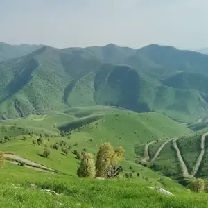 Iraq