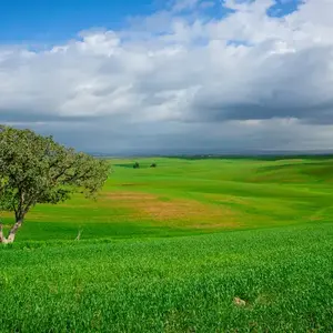 Israel