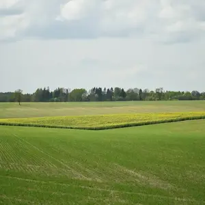 Lithuania