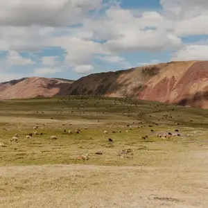 Mongolia