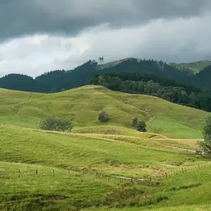 New Zealand