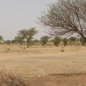 Niger