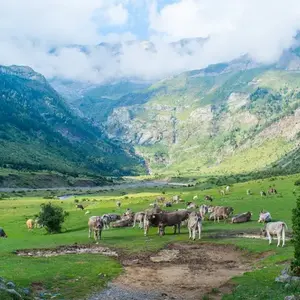 Spain