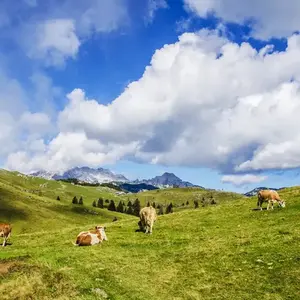 Switzerland