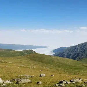 Turkey
