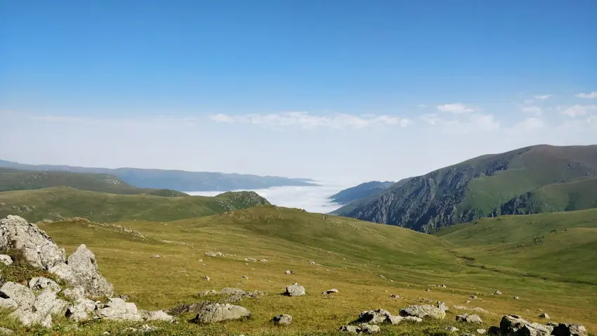 Turkey