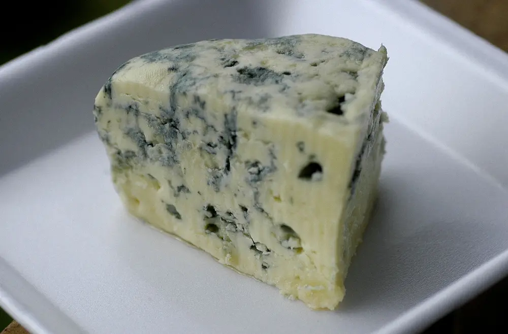 Gorgonzola-Style Cheese