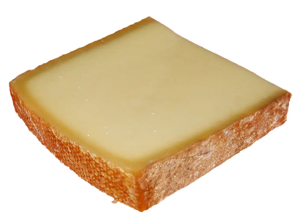 Bergkäse Cheese