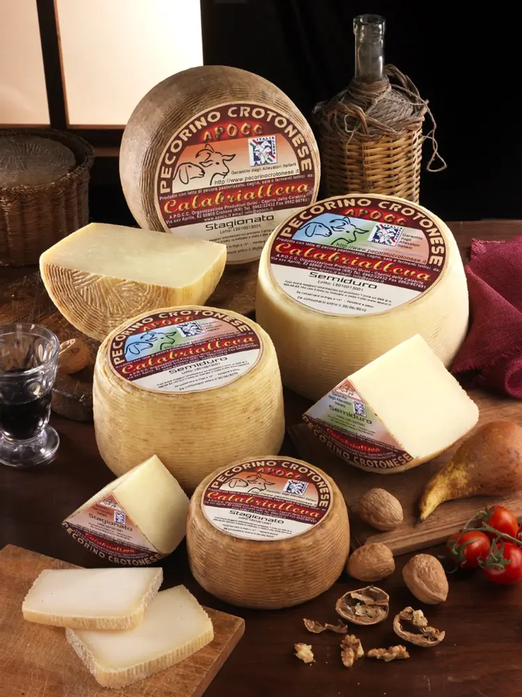 Crotonese Cheese