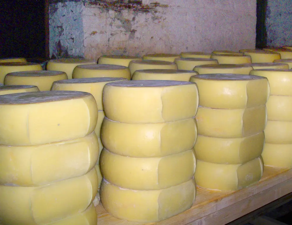 Kashkaval Cheese