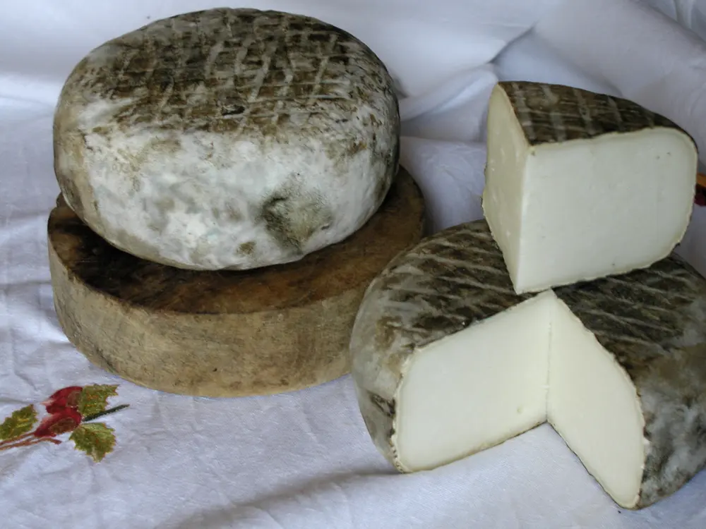 Queso Garrotxa