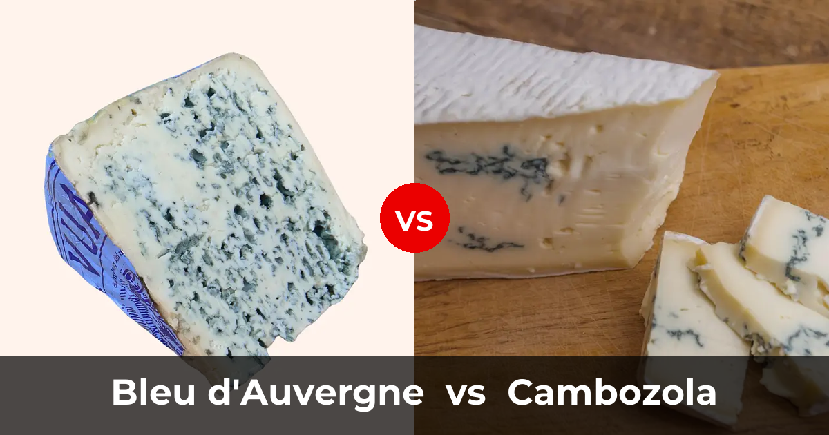 Bleu Dauvergne Cheese Vs Cambozola Cheese Whats The Difference 