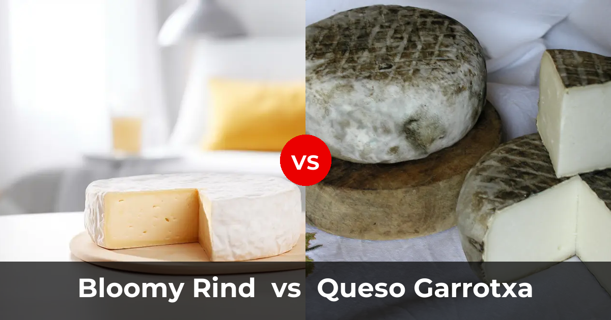 White Bloomy Rind Bloomy Rind Cheese vs Queso Garrotxa: What's the Difference? | Taste ...