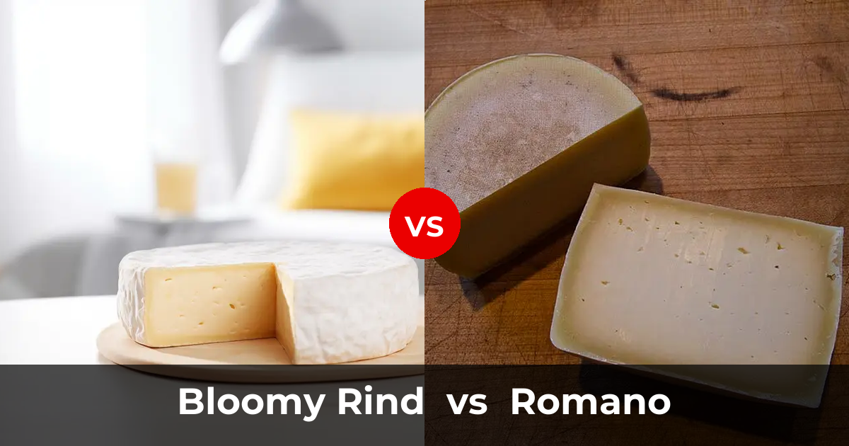 Bloomy Rind Cheese vs Romano Cheese: What's the Difference? | Taste ...