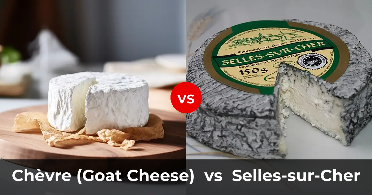Chèvre (Goat Cheese) vs Selles-sur-Cher Cheese: What's the Difference ...