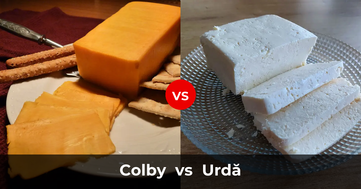 Colby Cheese vs Urdă Cheese: What's the Difference? | Taste, Texture ...