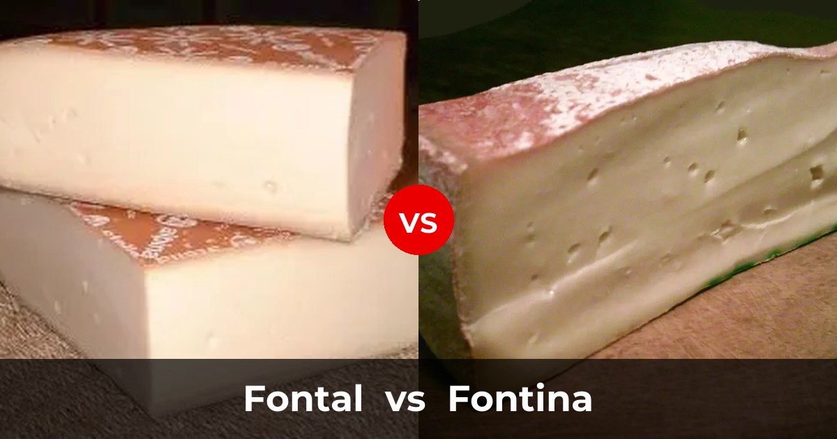 Fontal Cheese vs Fontina Cheese: What's the Difference? | Taste ...