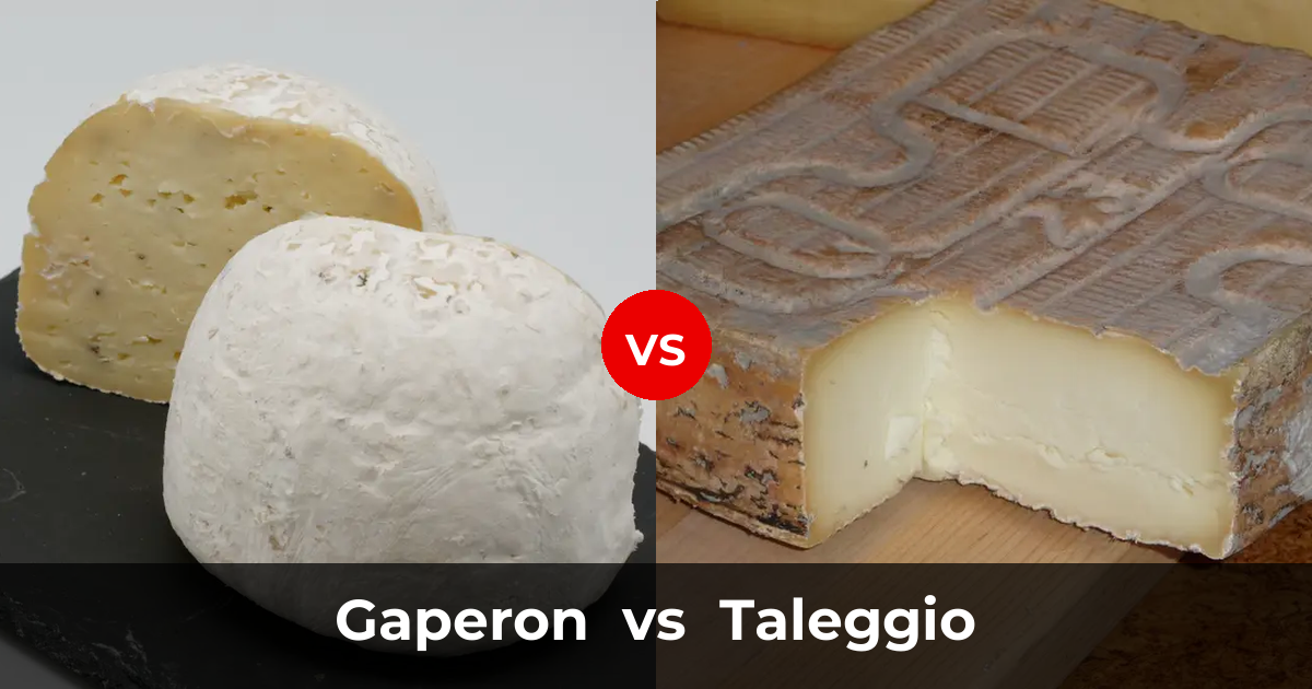 Gaperon Cheese vs Taleggio Cheese: What's the Difference? | Taste ...