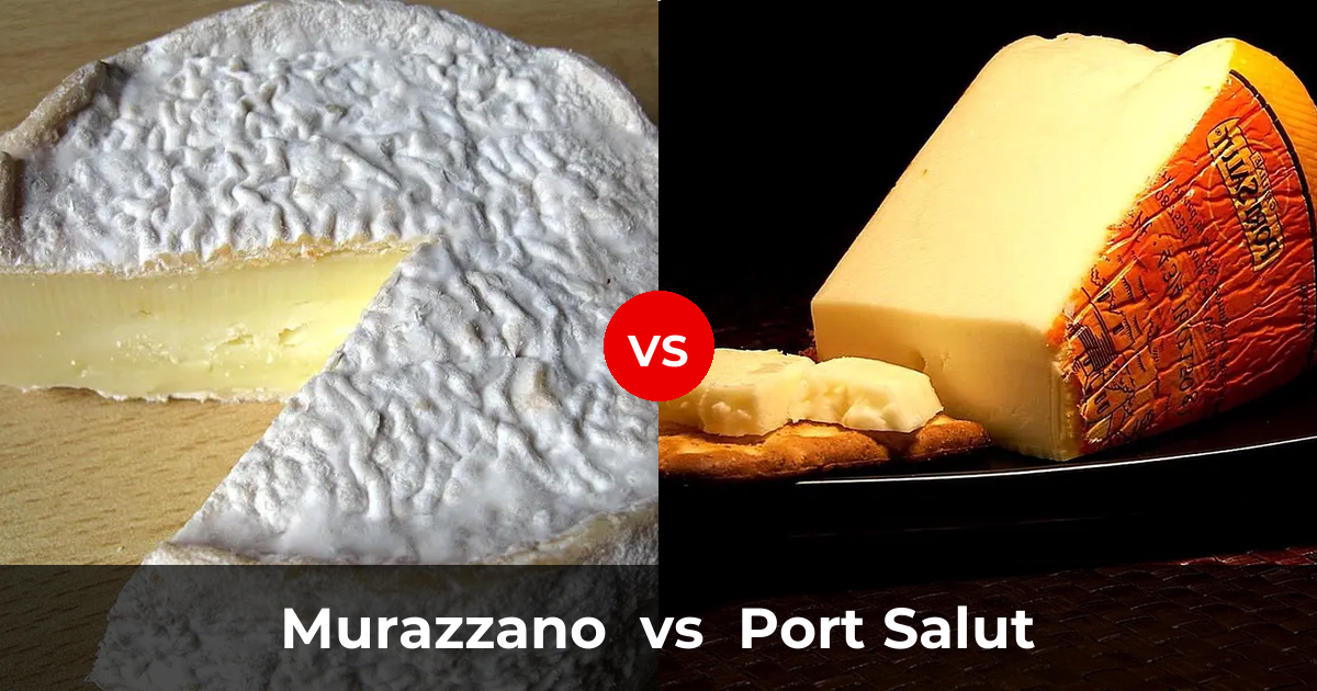 Murazzano Cheese Vs Port Salut Cheese What s The Difference Taste murazzano-cheese-vs-port-salut-cheese-what-s-the-difference-taste