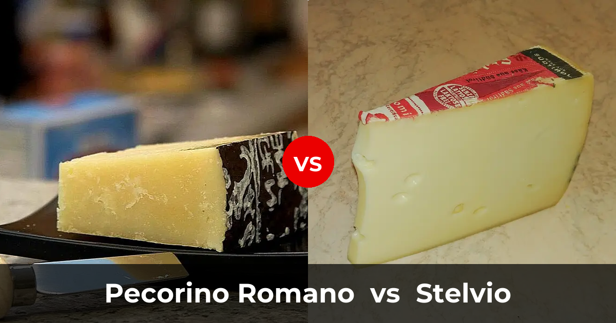 Pecorino Romano Cheese Vs Stelvio Cheese Whats The Difference 