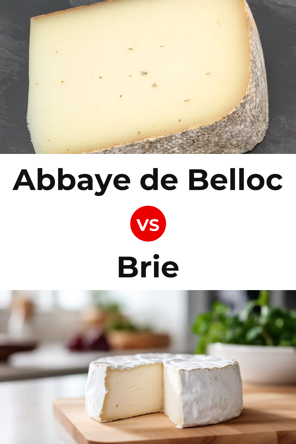 Abbaye de Belloc Cheese vs Brie Cheese Pinterest comparison