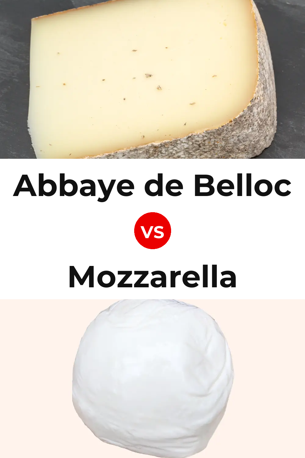 Abbaye de Belloc Cheese vs Mozzarella Cheese Pinterest comparison
