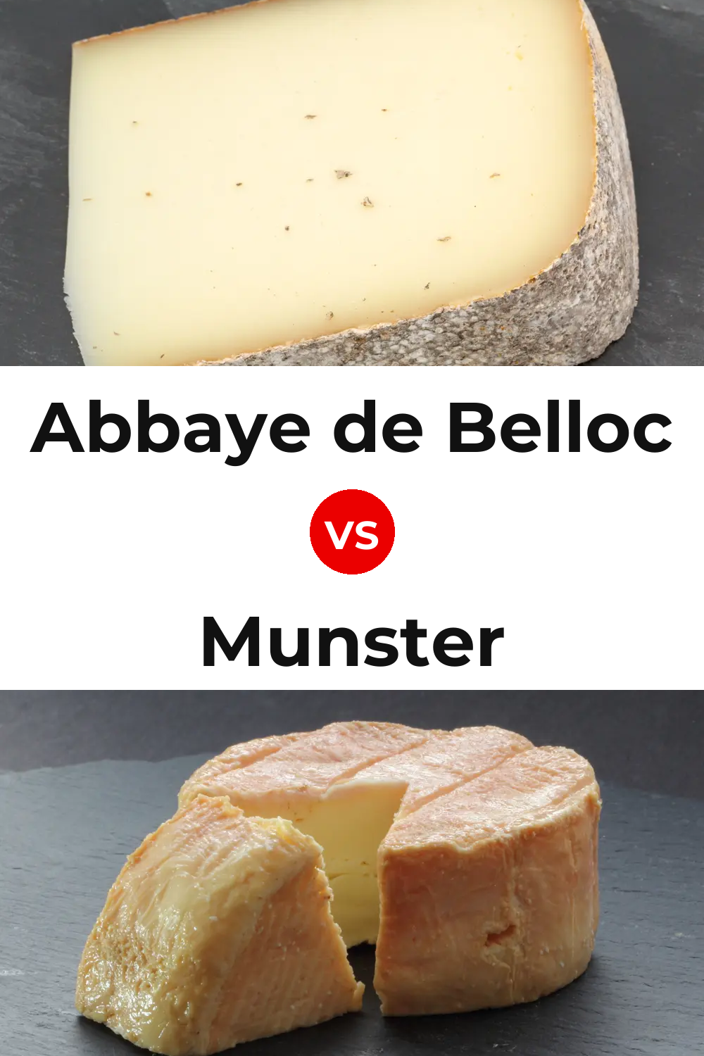 Abbaye de Belloc Cheese vs Munster Cheese Pinterest comparison