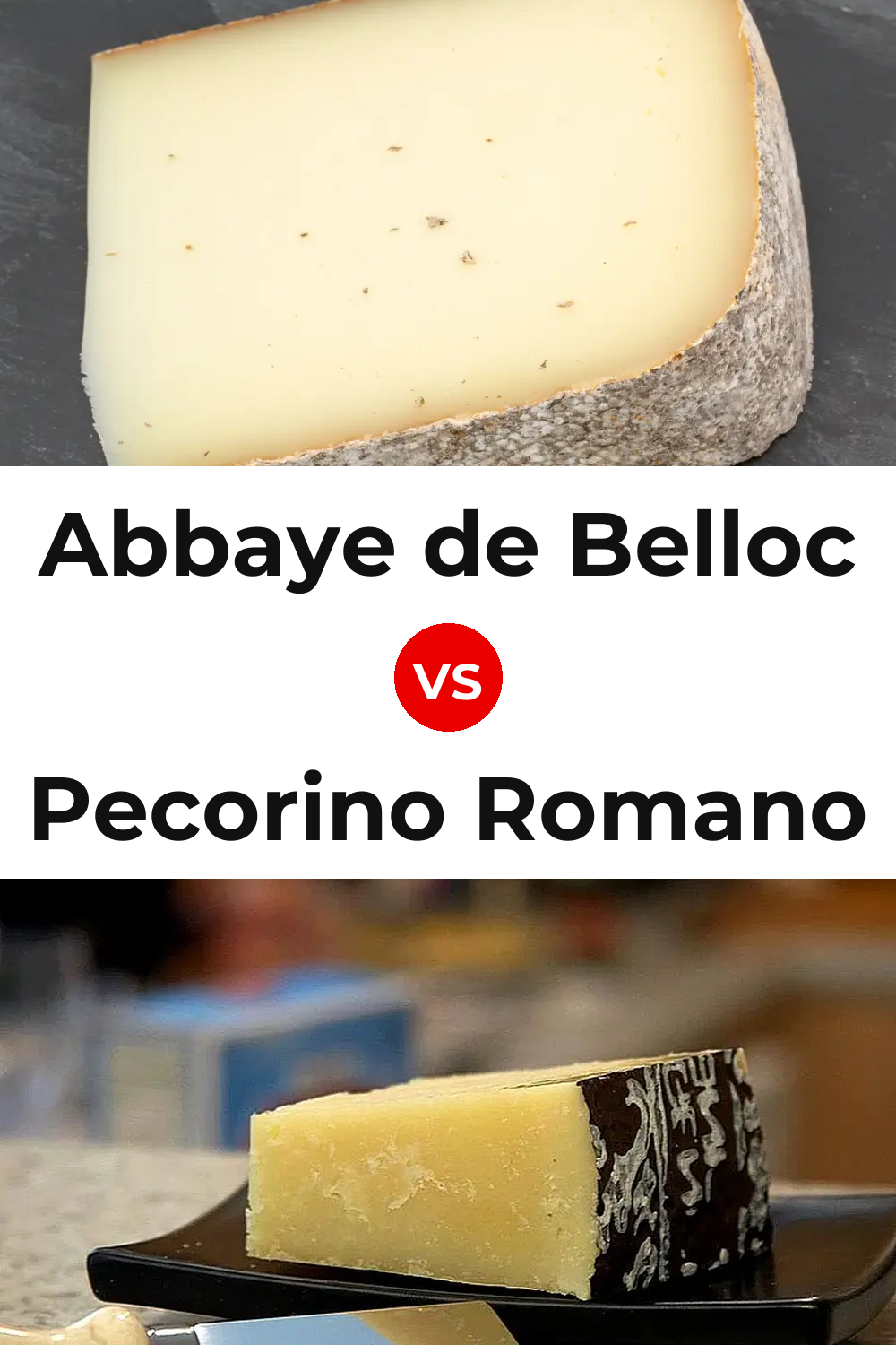 Abbaye de Belloc Cheese vs Pecorino Romano Cheese Pinterest comparison