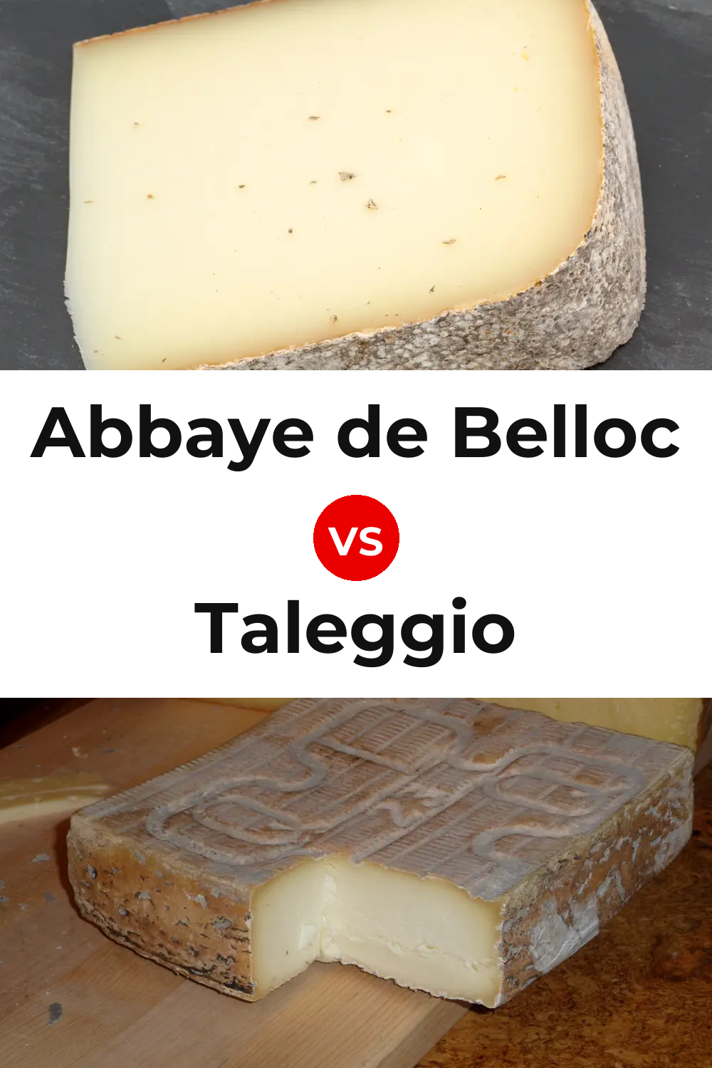 Abbaye de Belloc Cheese vs Taleggio Cheese Pinterest comparison