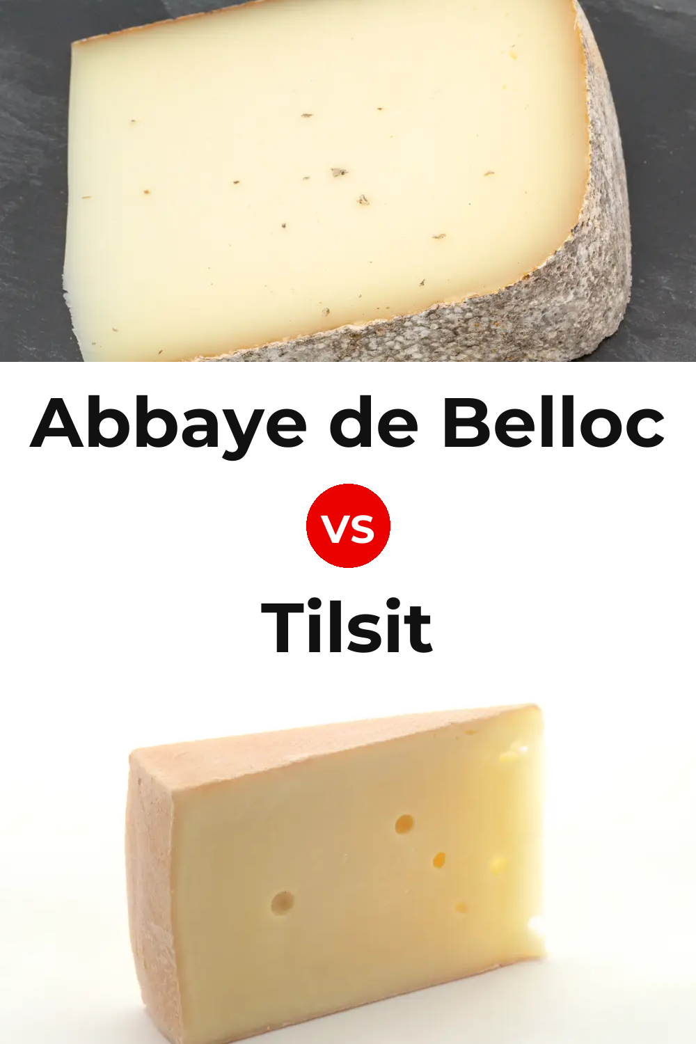 Abbaye de Belloc Cheese vs Tilsit Cheese Pinterest comparison