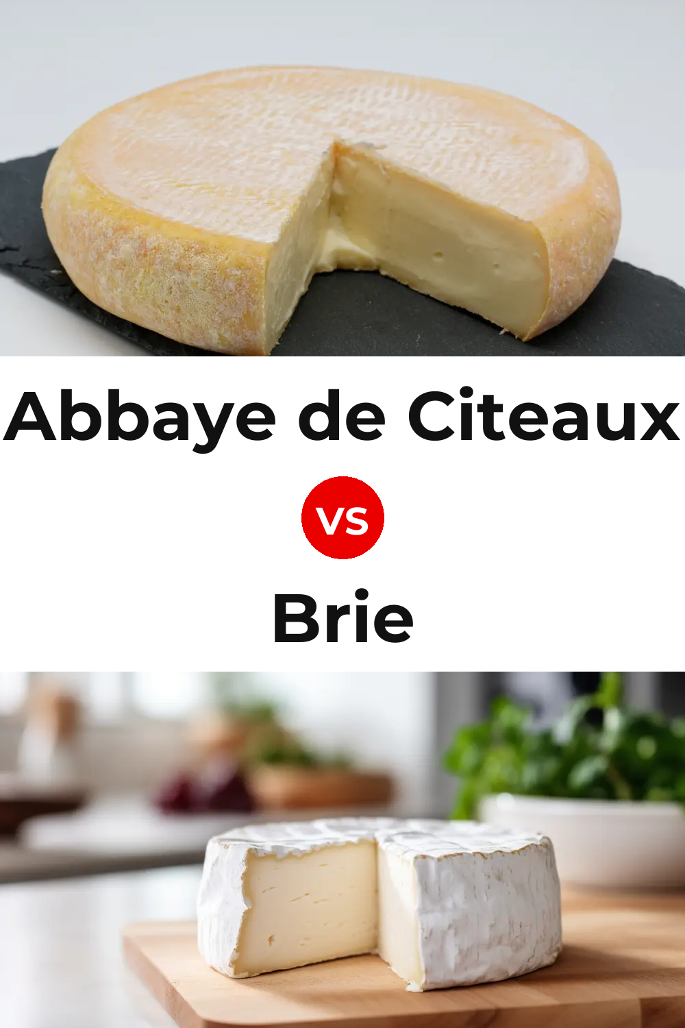Abbaye de Citeaux Cheese vs Brie Cheese Pinterest comparison