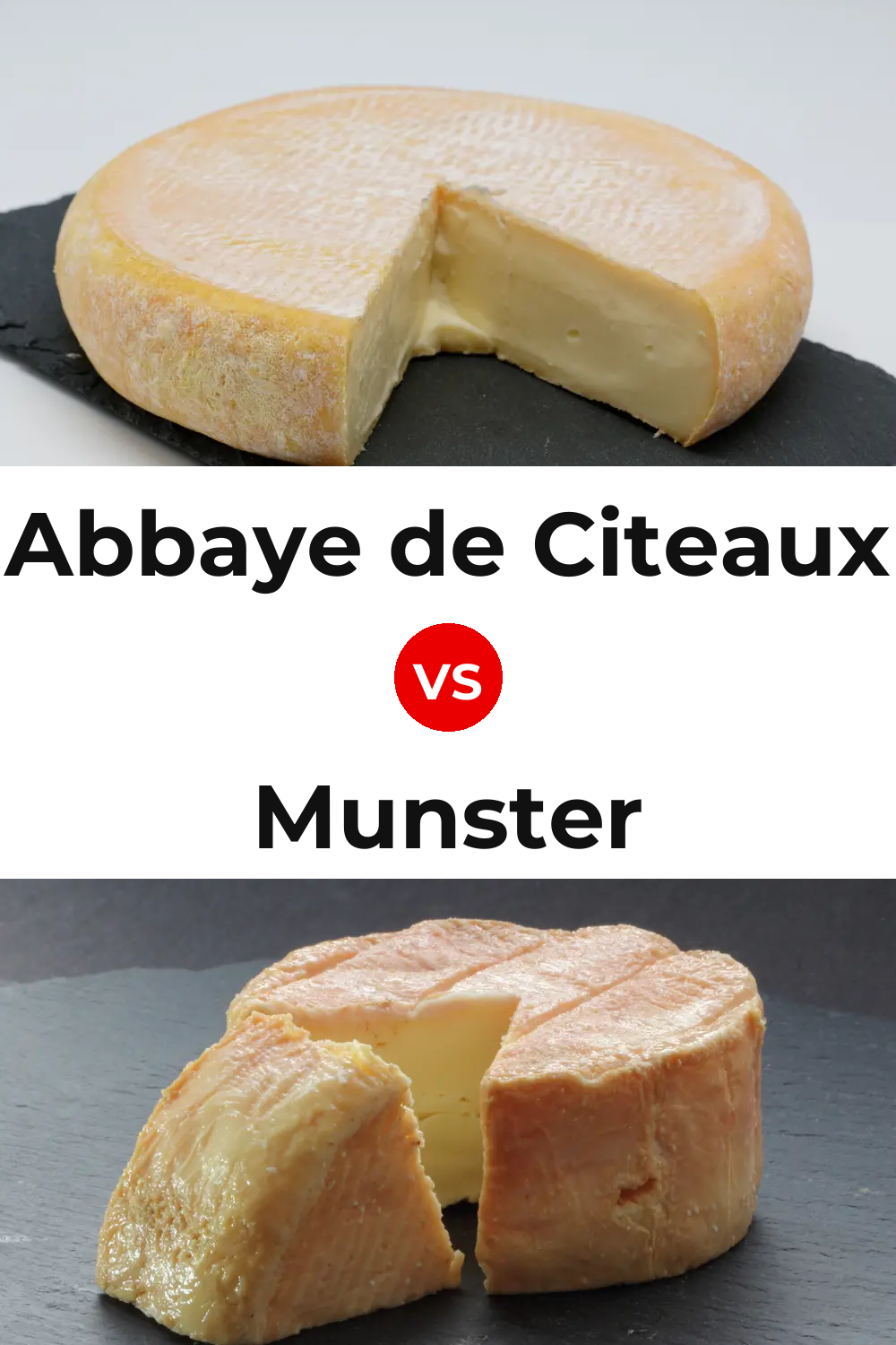 Abbaye de Citeaux Cheese vs Munster Cheese Pinterest comparison