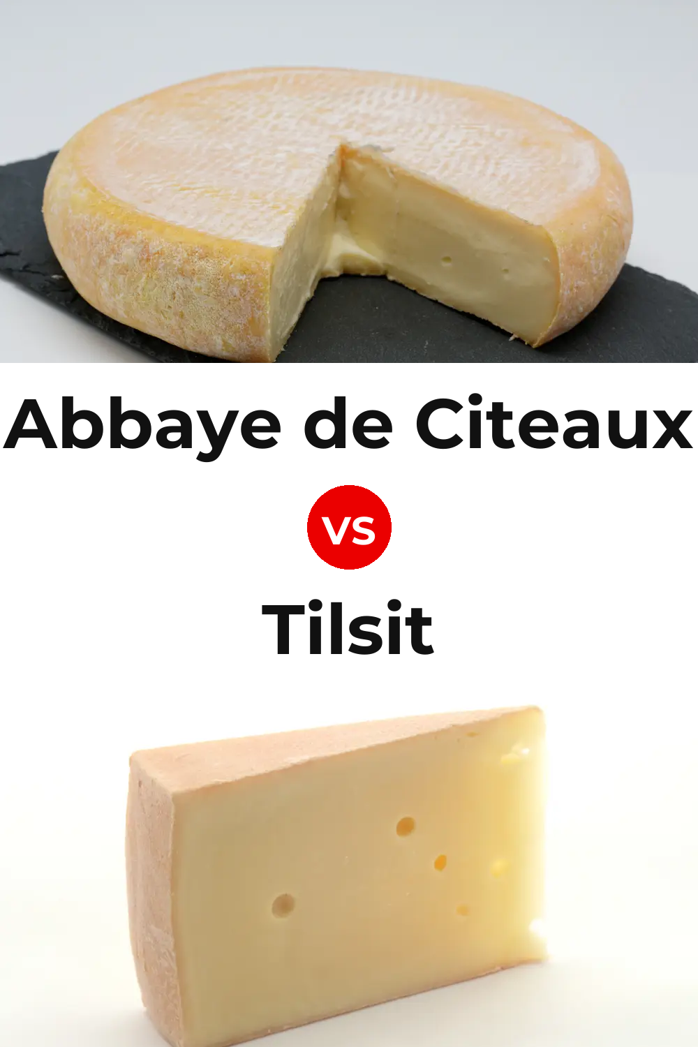 Abbaye de Citeaux Cheese vs Tilsit Cheese Pinterest comparison